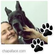 /album/fotogalerie-o-nas/a316793-281582428521347-100000087777647-1214990-1993371149-n-jpg/